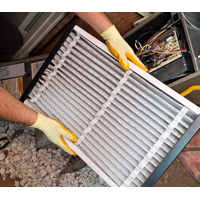 Портфолио harleyking